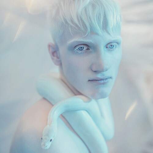 Photo #13025704
