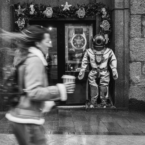 Photo #13025763