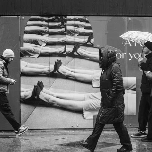 Photo #13025774