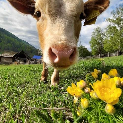 Photo #13025797