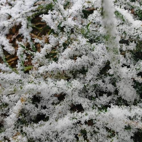 Photo #13025810