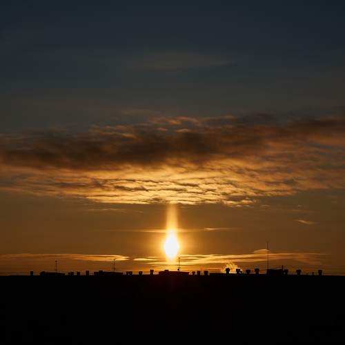 Photo #13026042