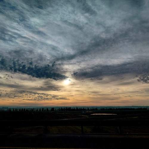 Photo #13026208