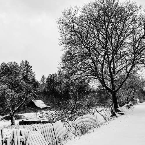 Winter’s Solitude