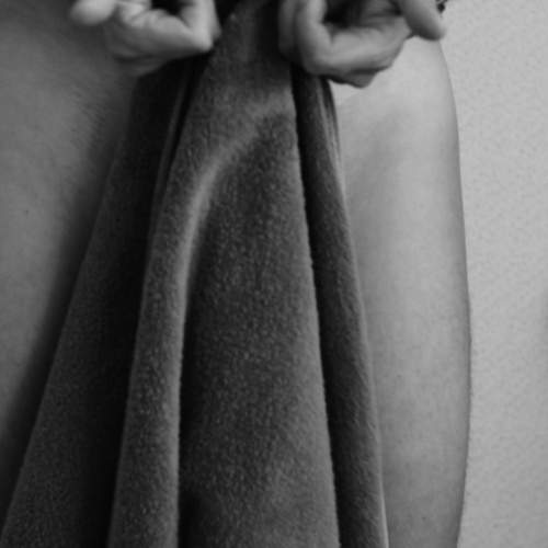 Photo #13026240