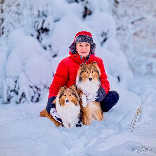 Снег и шелти