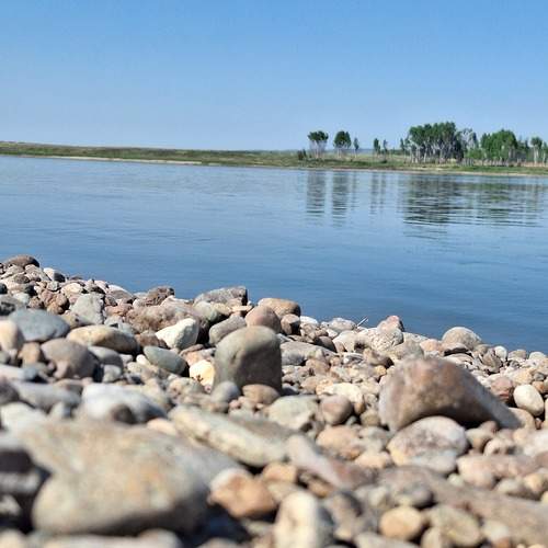 Photo #13026644