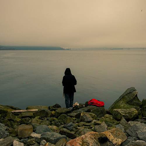 Photo #13026669