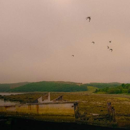 Photo #13026671