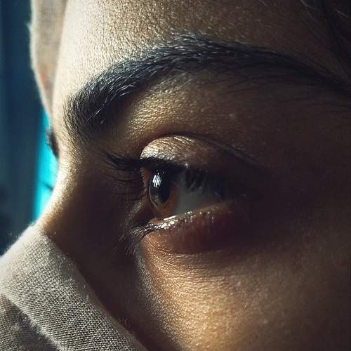 Photo #13026801