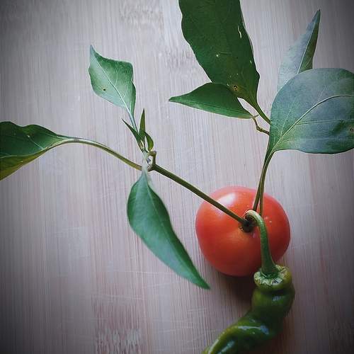 Photo #13026802