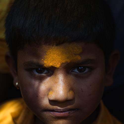 Photo #13026856