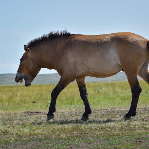 Photo #13026862