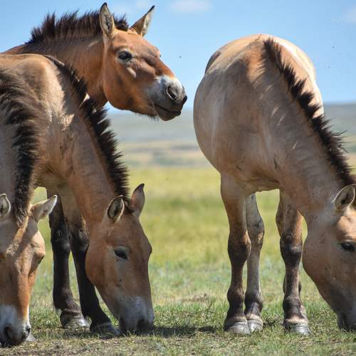 Photo #13026863