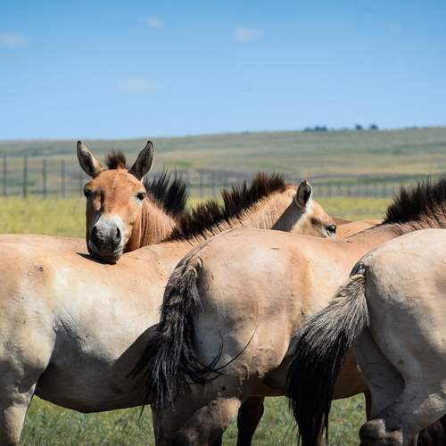 Photo #13026864