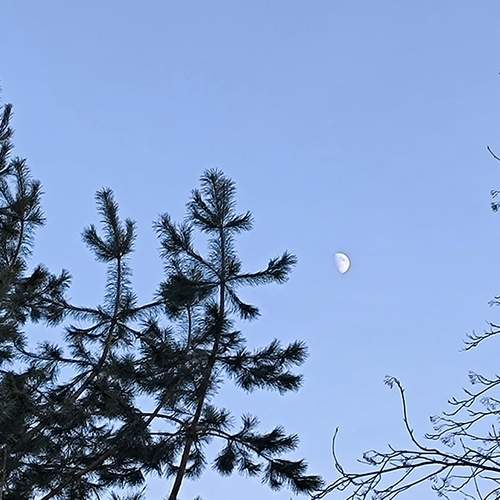 Photo #13027034