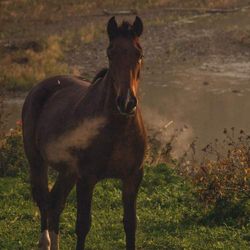 Photo #13027096