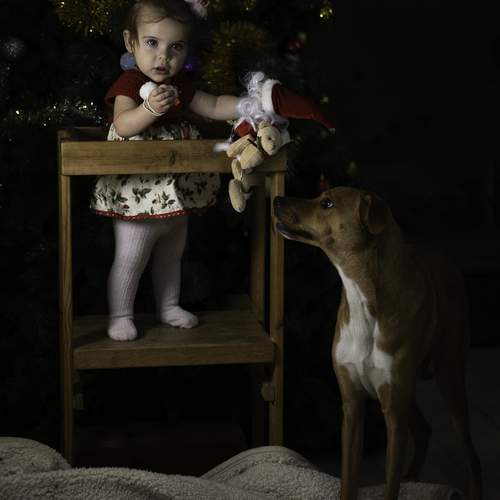 Photo #13027131