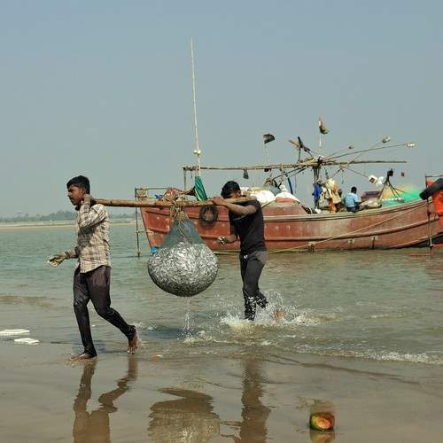 Photo #13027157