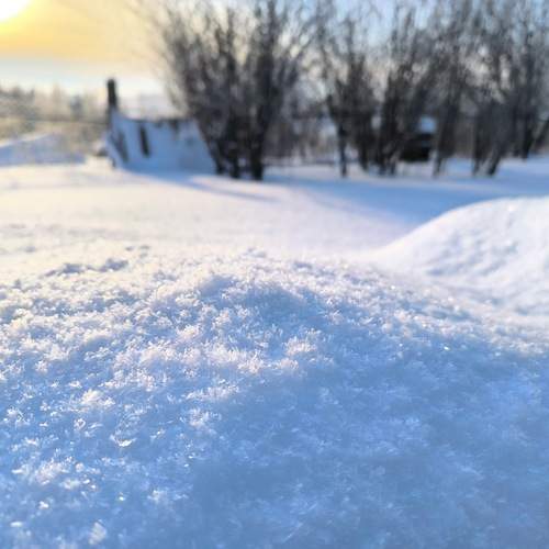 Photo #13027227