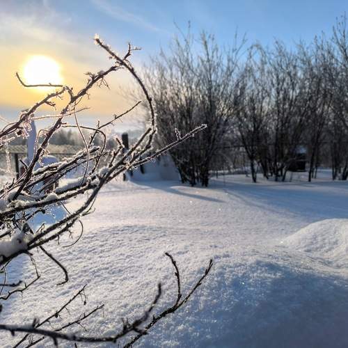 Photo #13027228