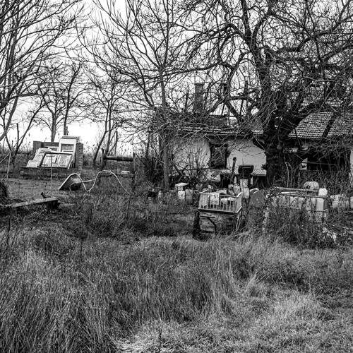 Photo #13027245