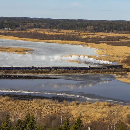 Photo #13027336