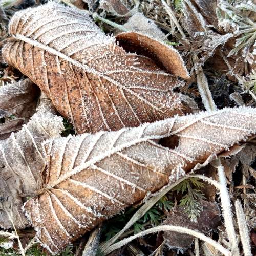 Photo #13027376