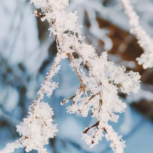 Photo #13027438