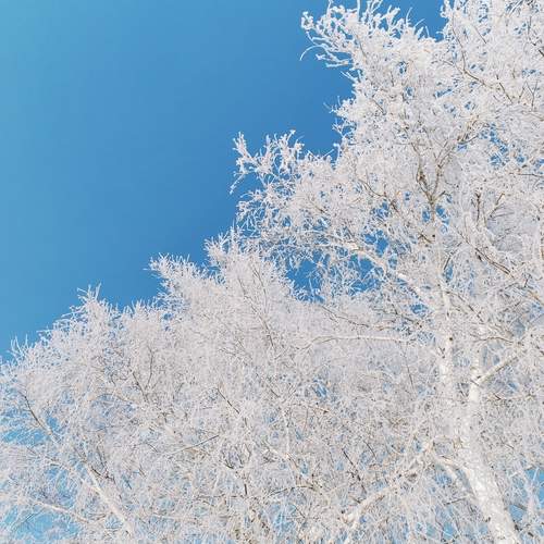 Photo #13027439