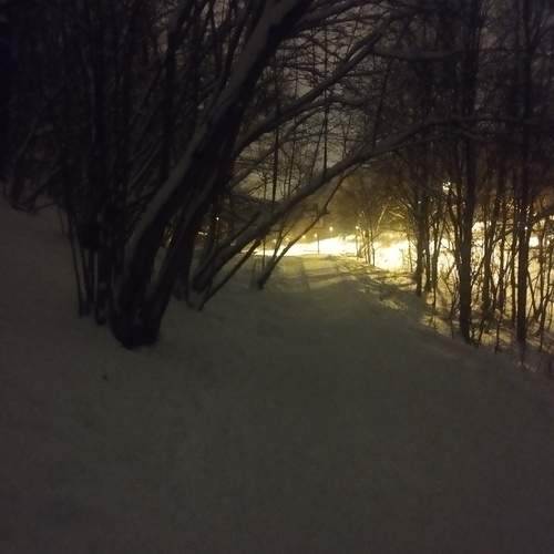 Photo #13027441