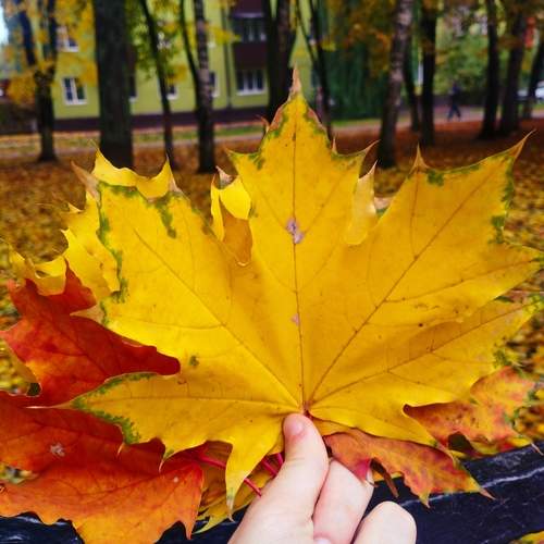 Photo #13027443