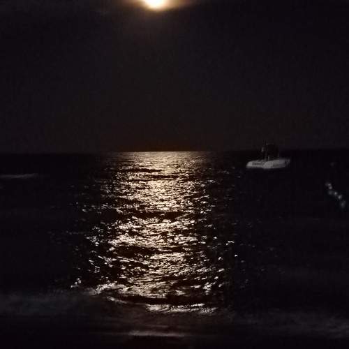 Photo #13027517