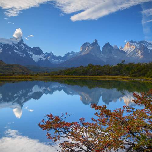 Photo #13027530