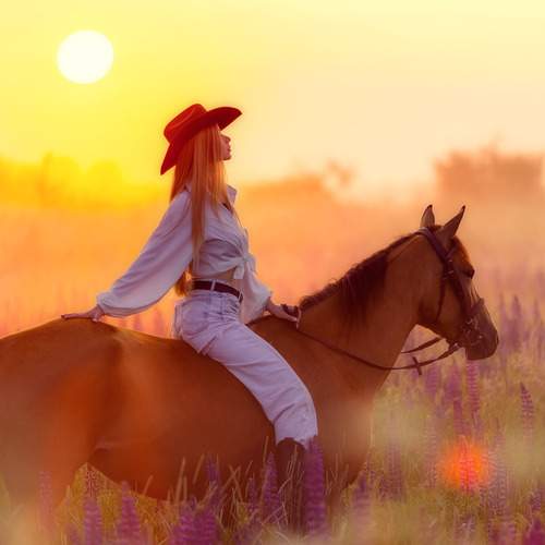 Photo #13027670