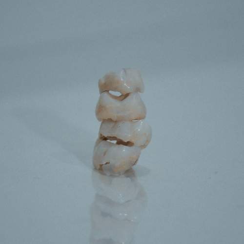 Photo #13027675