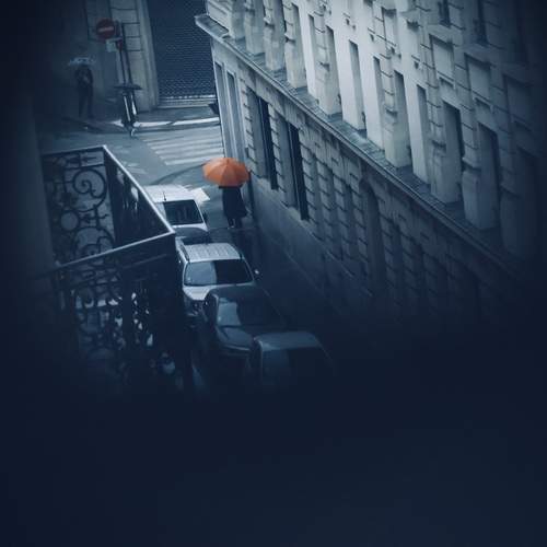 Photo #13027710
