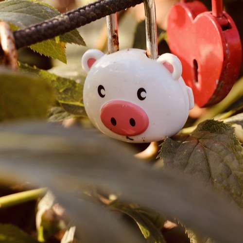 Photo #13027712