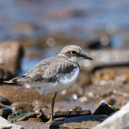 Photo #13027752