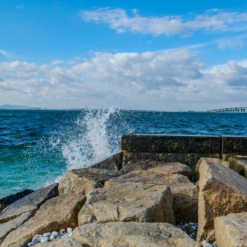 Photo #13027771