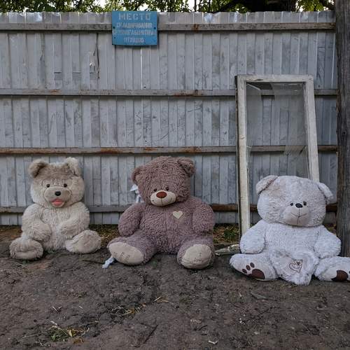 Photo #13027790