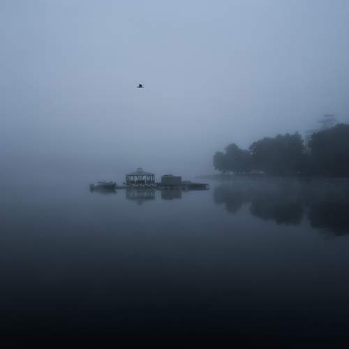 Photo #13027918