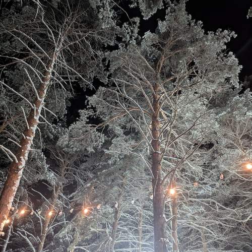 Photo #13028283