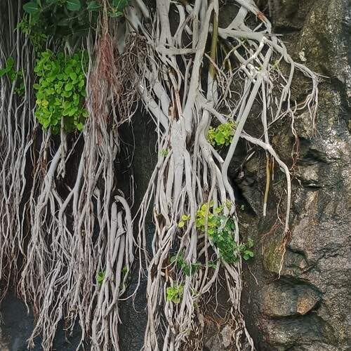 Photo #13028300