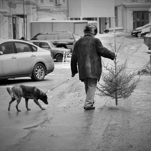 Photo #13028359