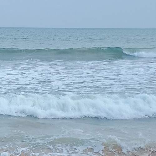Photo #13028385
