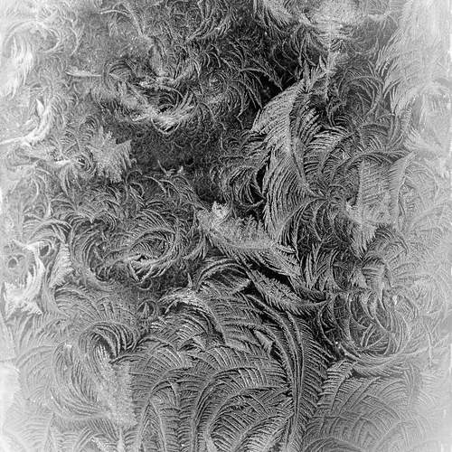 Фотография #13028617