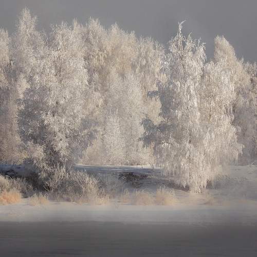 Фотография #13028845