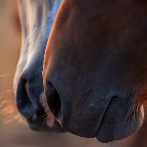 Photo #13028859