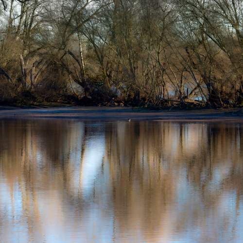 By The River II